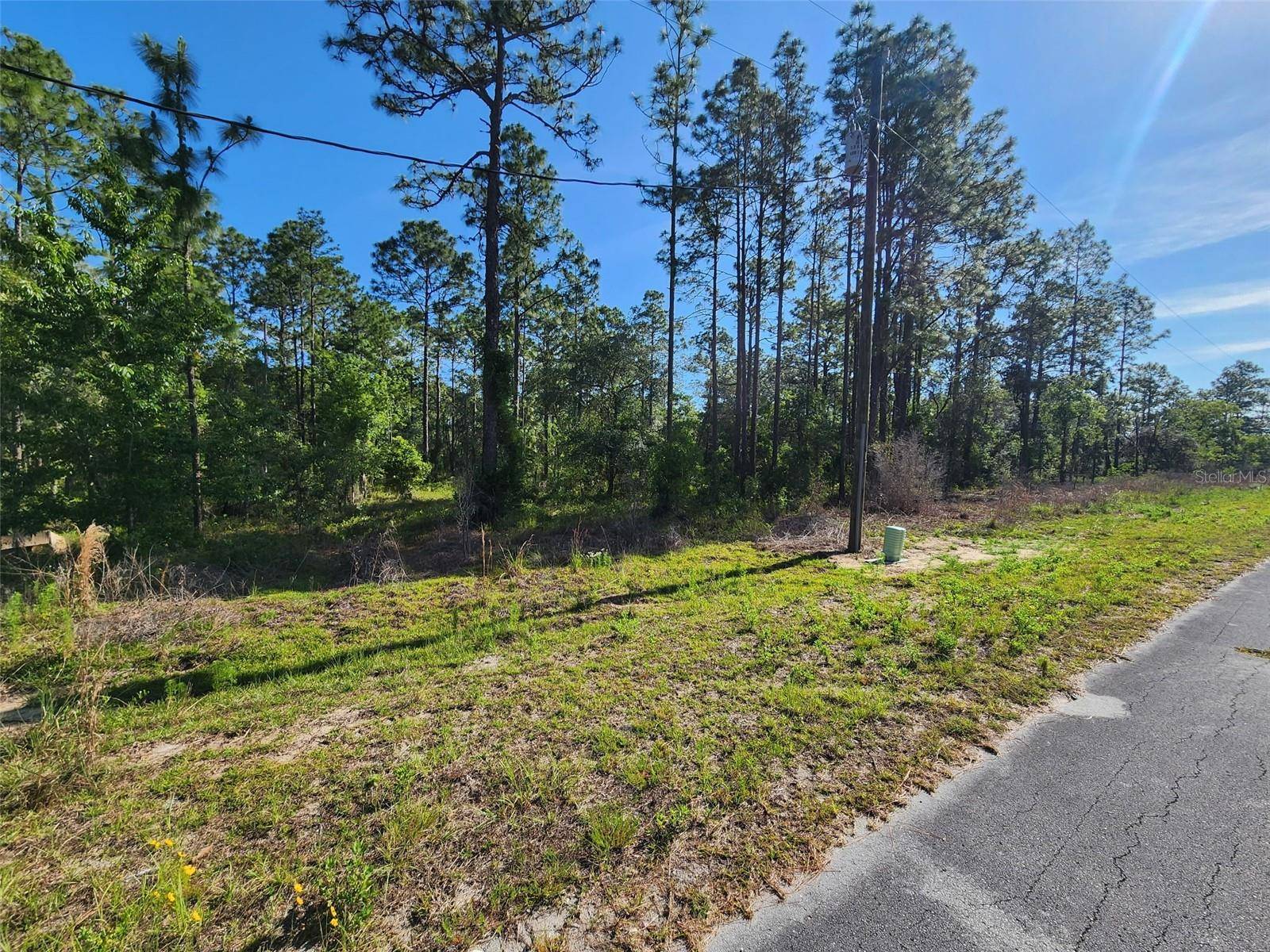 Dunnellon, FL 34431,NW SHAMROCK AVE