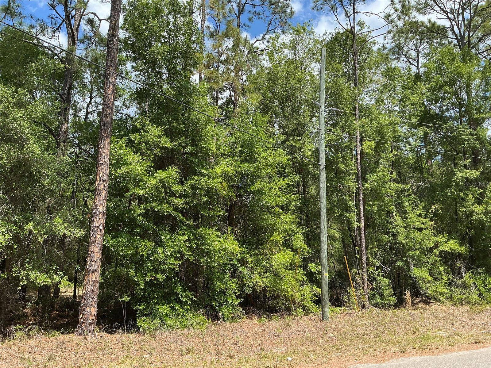 Ocklawaha, FL 32179,GUAVA PASS DR