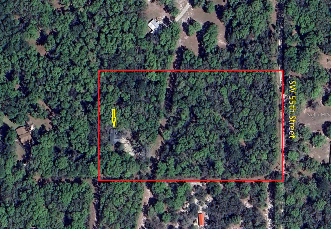 Micanopy, FL 32667,11824 SW 55TH ST