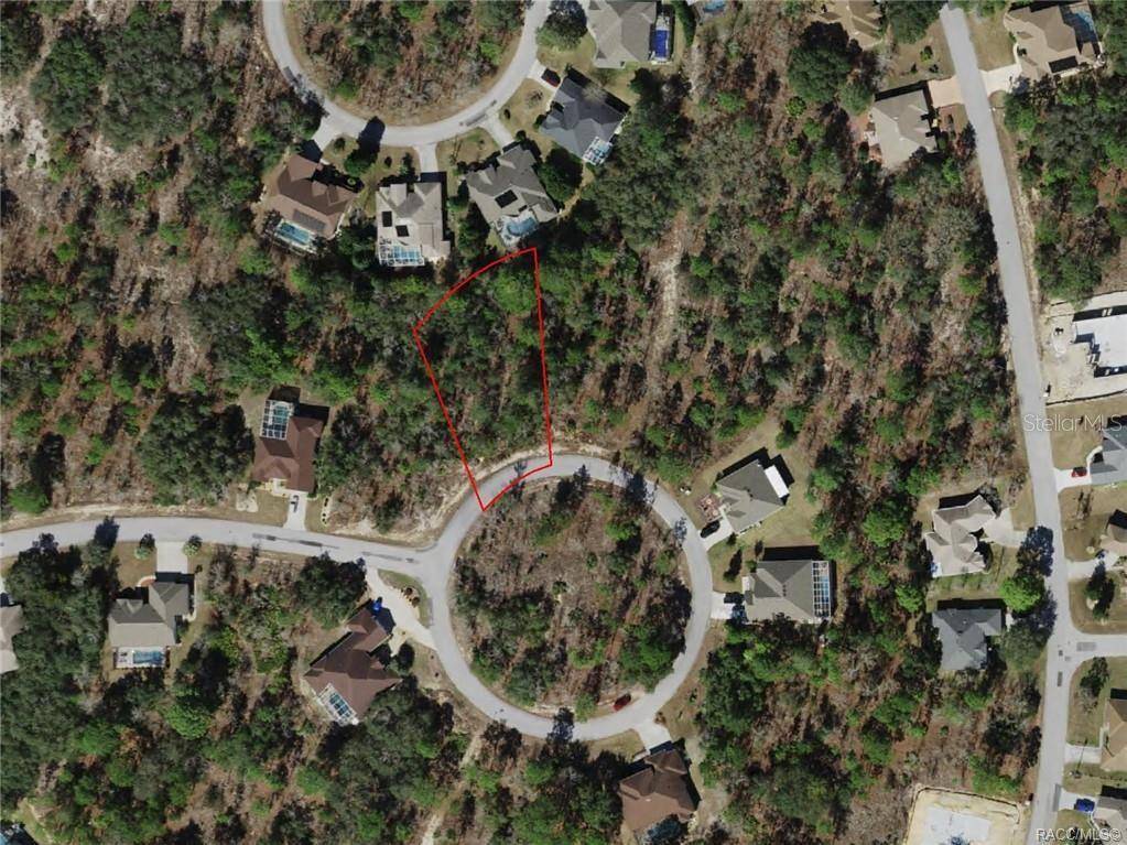 Homosassa, FL 34446,17 RUDBECKIA CT
