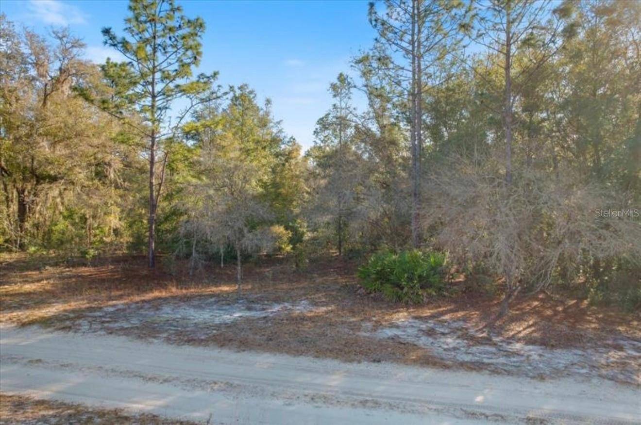 Crystal River, FL 34428,7343 N NATHAN PT