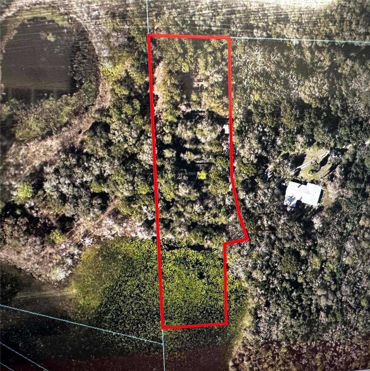 Weirsdale, FL 32195,00 SE 168TH TER