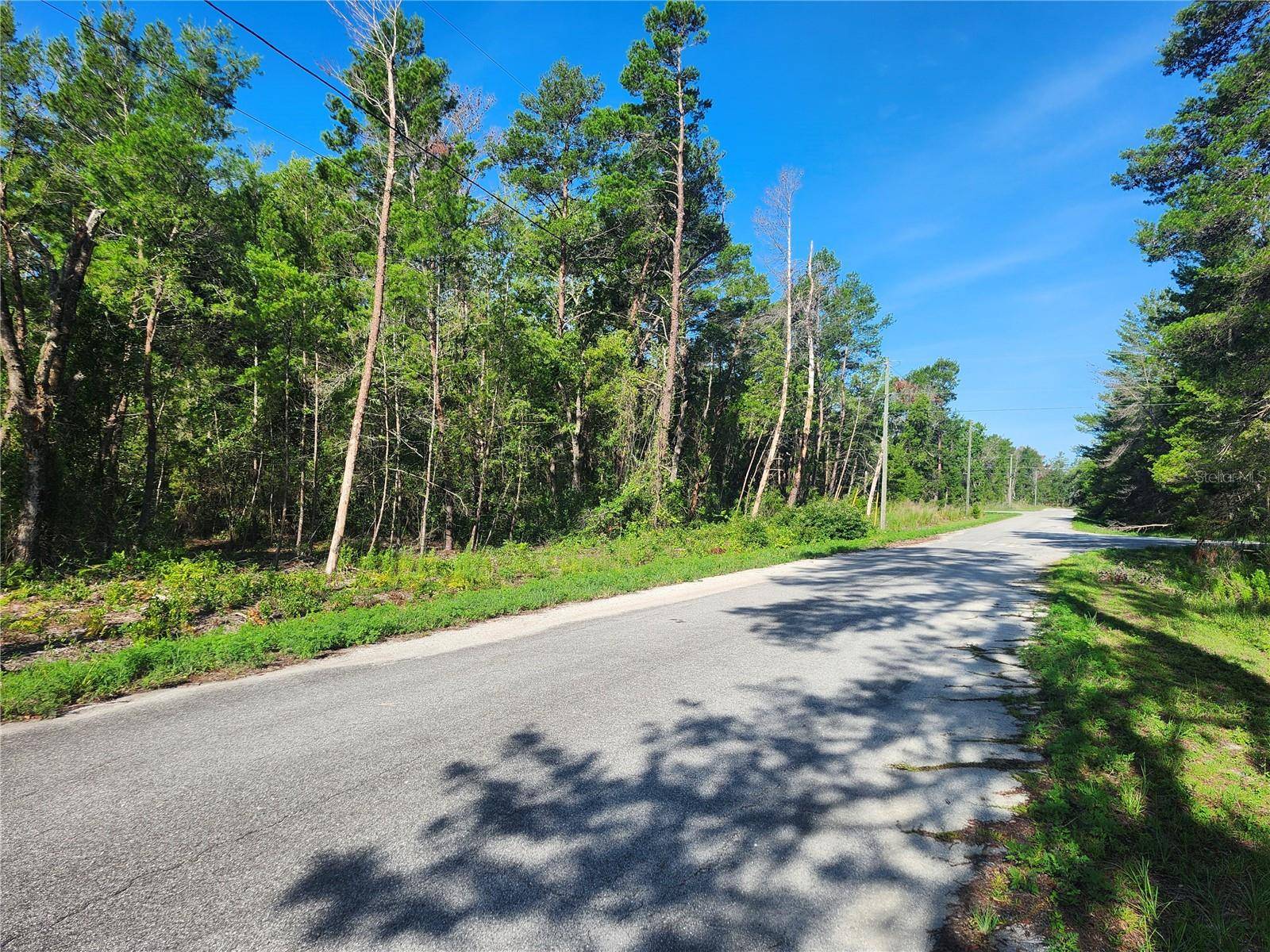 Ocklawaha, FL 32179,00 FISHER TRAIL