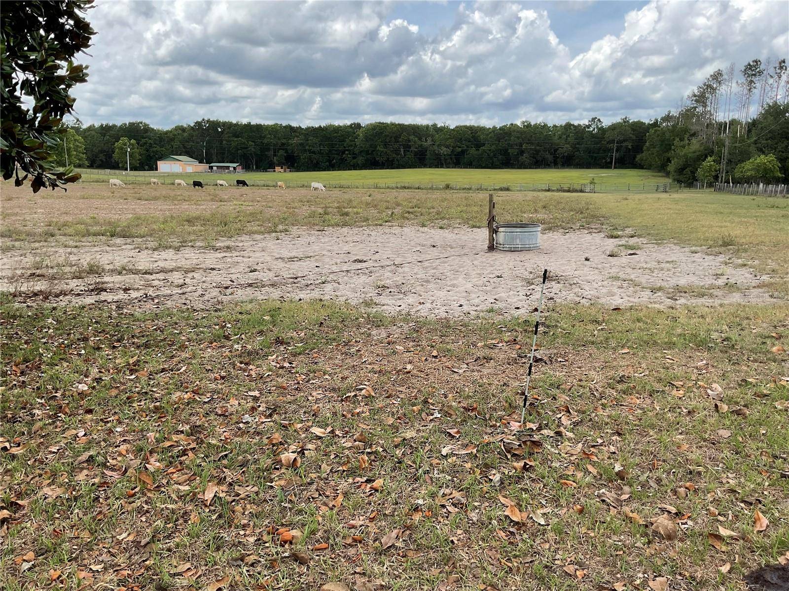 Bronson, FL 32621,9750 NE 49TH ST
