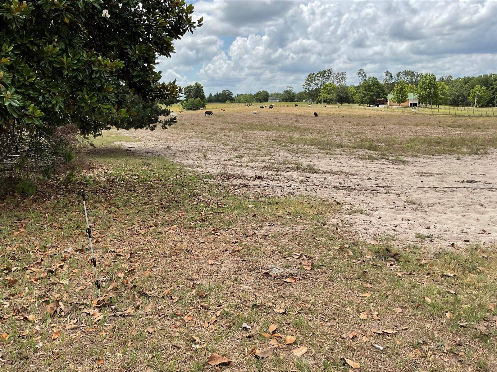 Bronson, FL 32621,tbd NE 46TH LAND