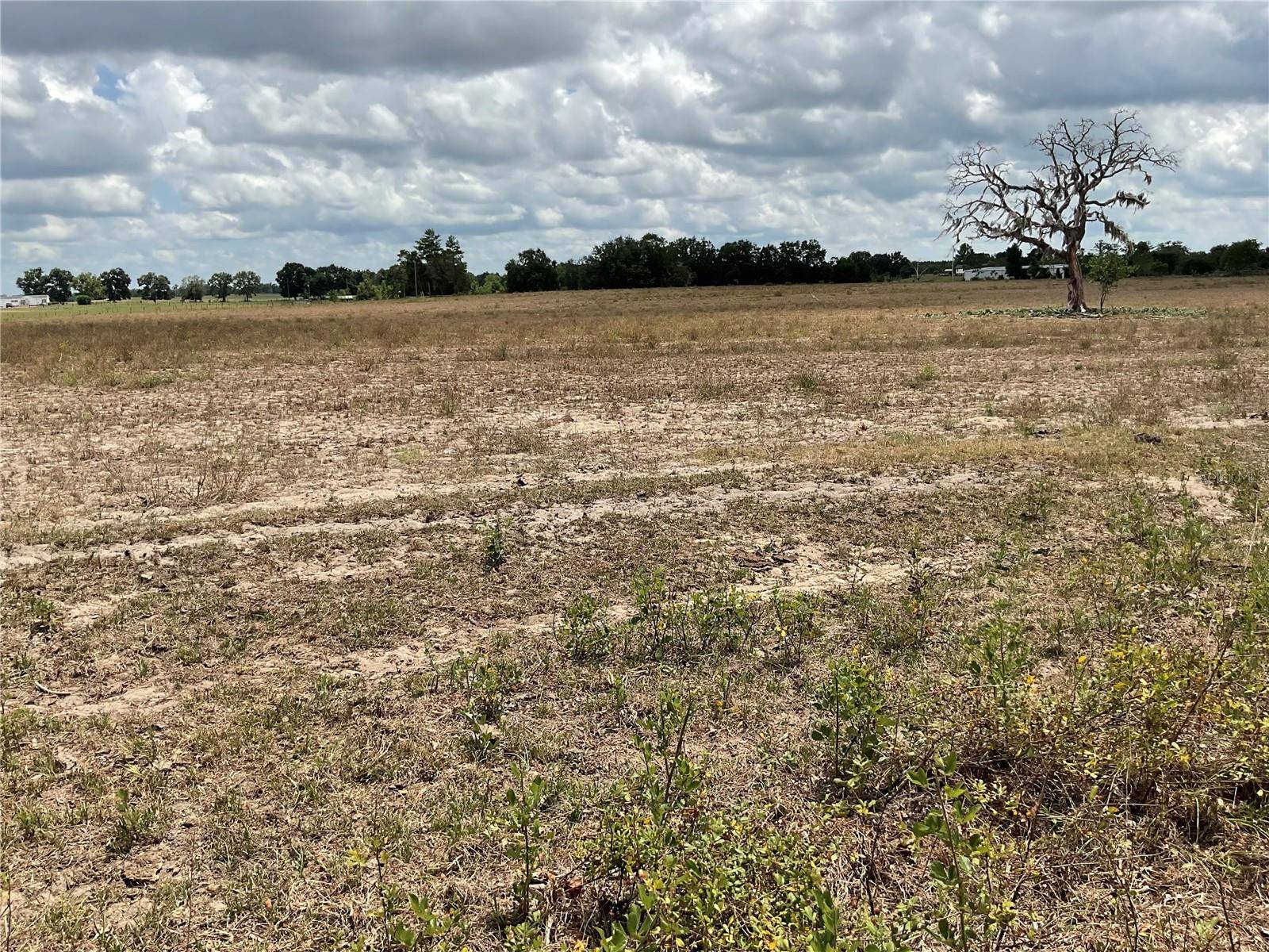 Bronson, FL 32621,tbd NE 46TH LAND