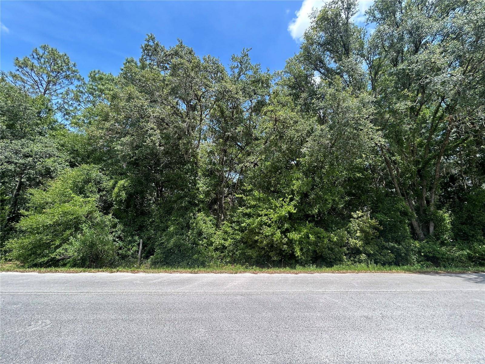 Morriston, FL 32668,TBD (lot #25) SE 192ND CT