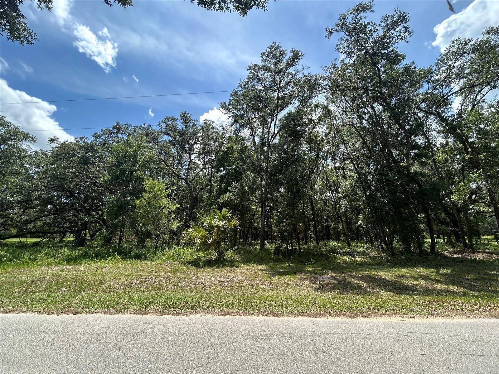 Morriston, FL 32668,TBD (Lot #17) SE 192ND CT