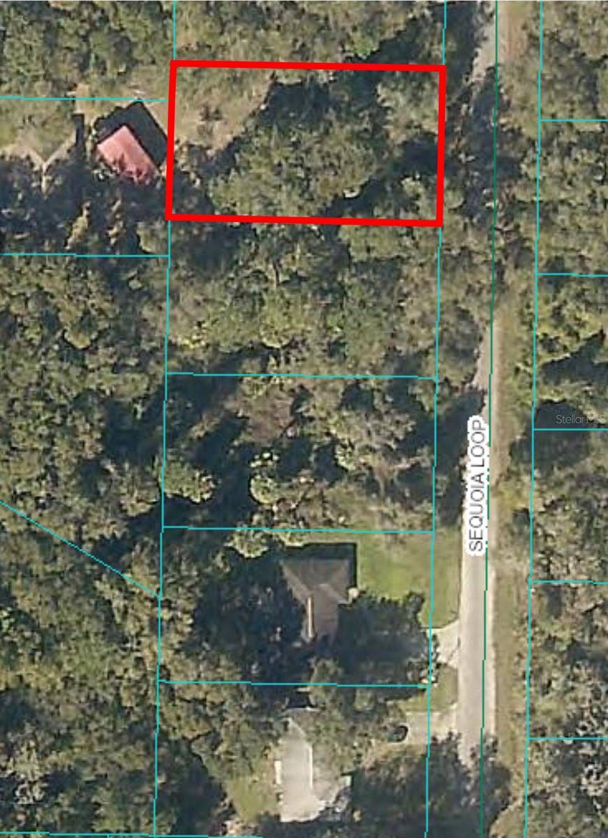Ocklawaha, FL 32179,0 SEQUOIA LOOP