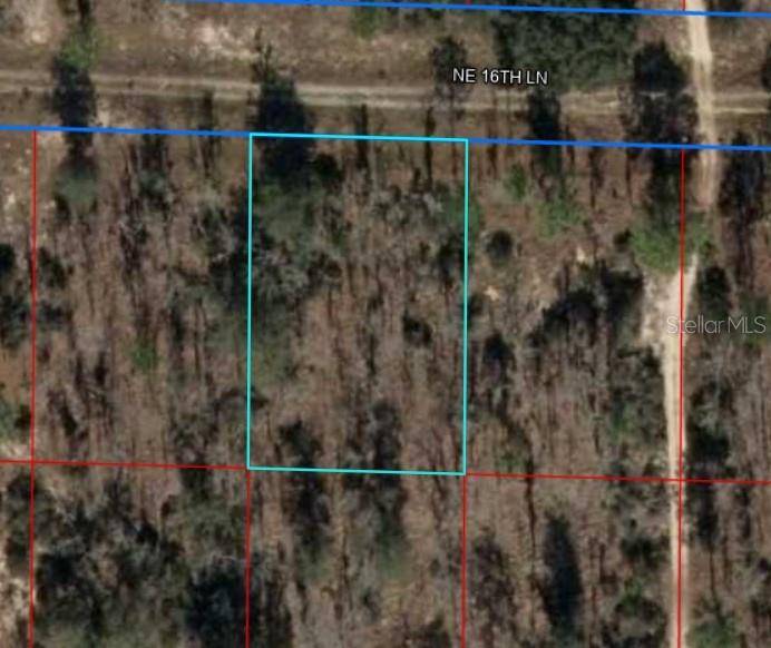 Williston, FL 32696,NE 16TH LN