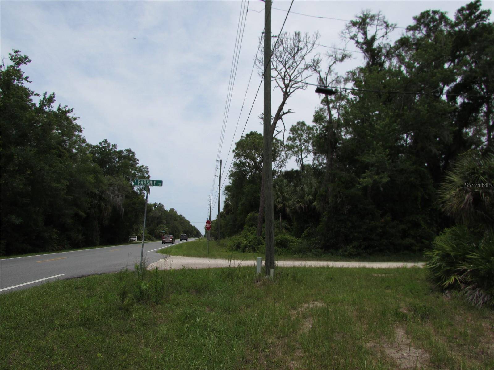 Crystal River, FL 34428,8942 N PARSNIP TER
