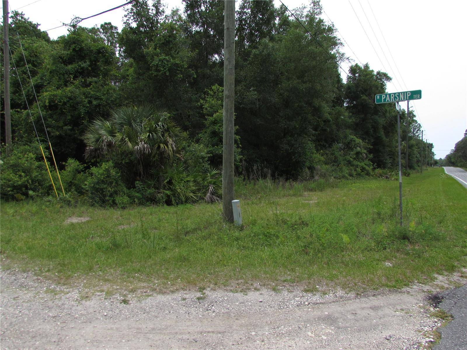 Crystal River, FL 34428,8942 N PARSNIP TER