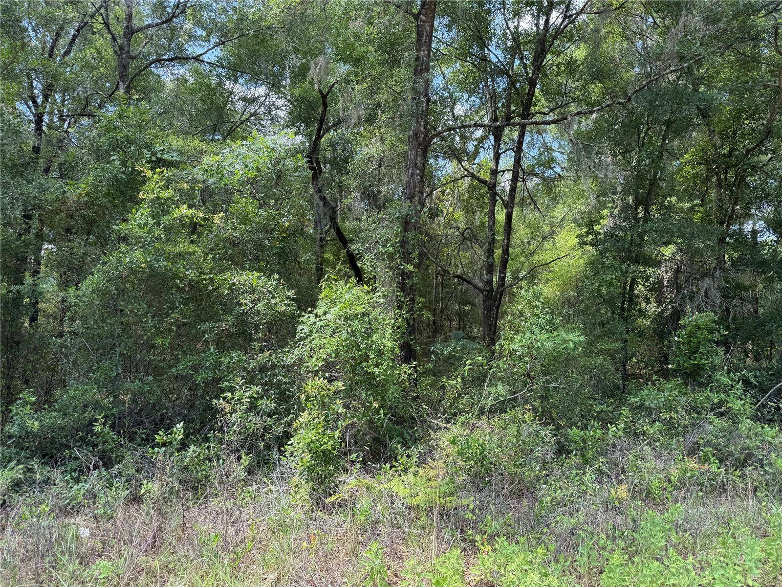 Williston, FL 32696,00 NE 5TH ST