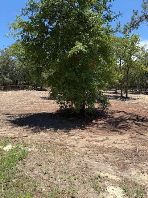 Williston, FL 32696,SE 148TH AVE