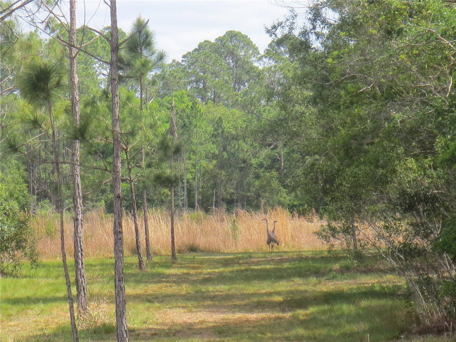 Silver Springs, FL 34488,0 SE 10 ST