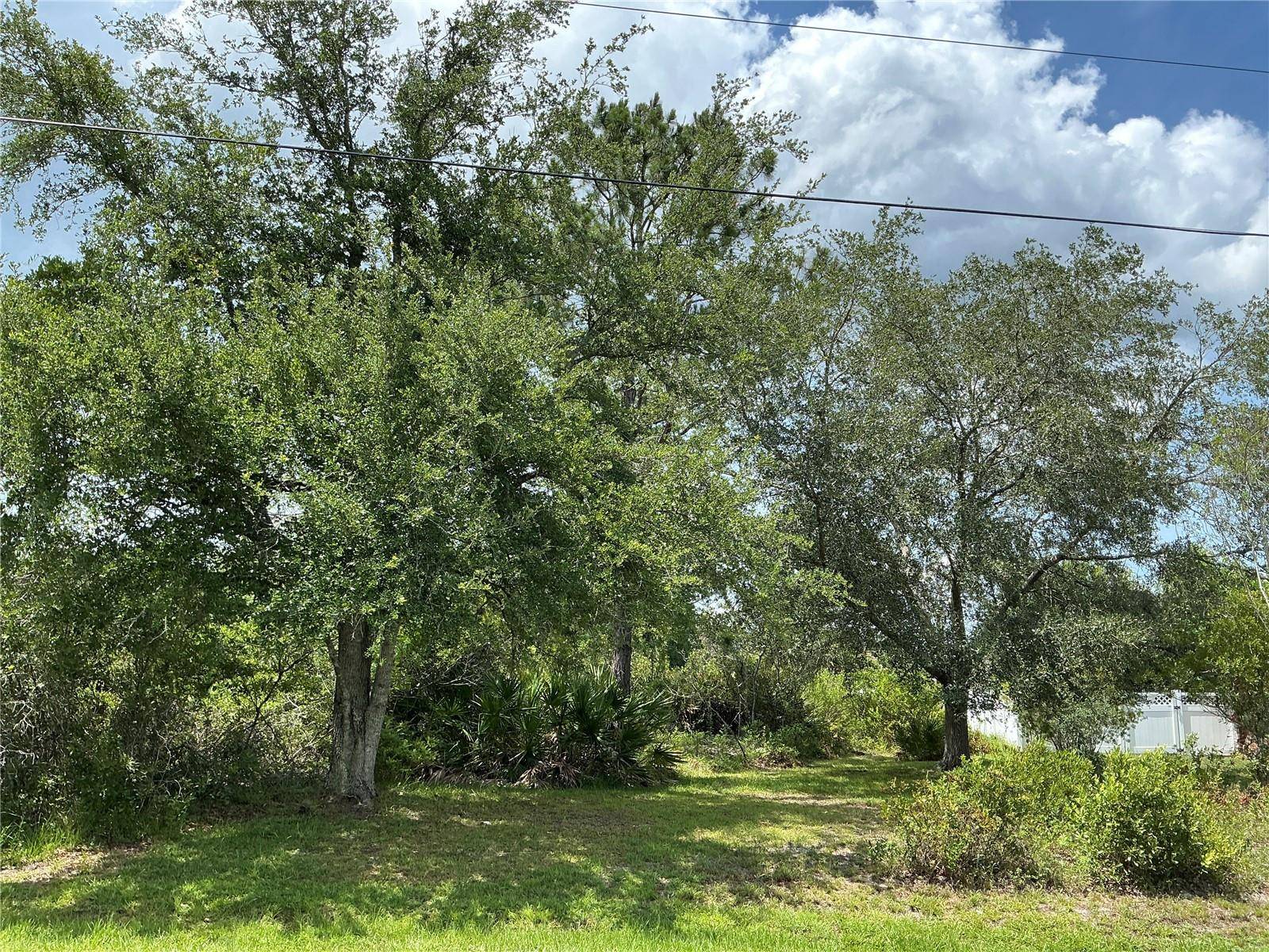 Palm Coast, FL 32137,29 LOUISIANA DR