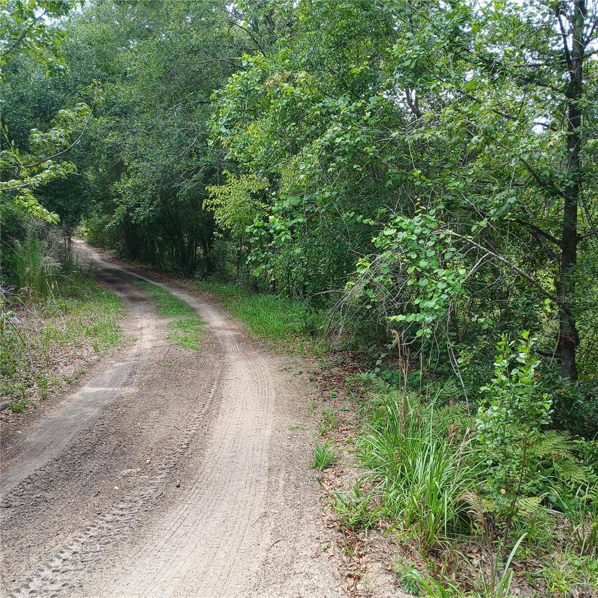 Silver Springs, FL 34488,17151 NE 4TH LN