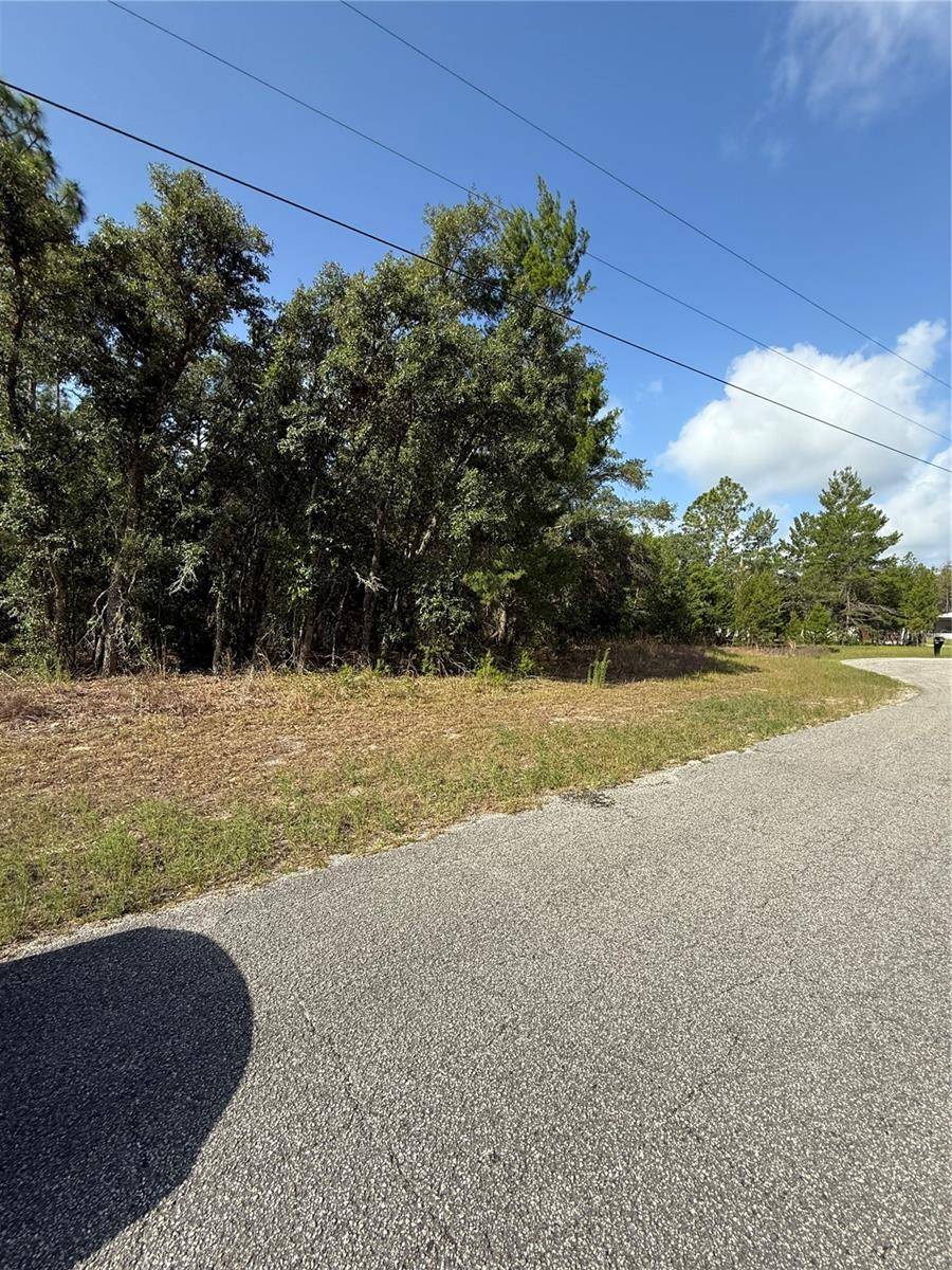 Beverly Hills, FL 34465,5056 W COLT ST