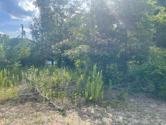 Dunnellon, FL 34431,TBD SW 81ST ST