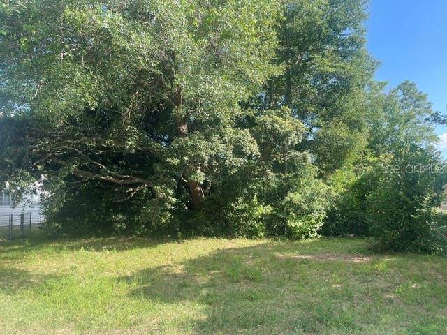 Dunnellon, FL 34431,TBD SW 81ST ST