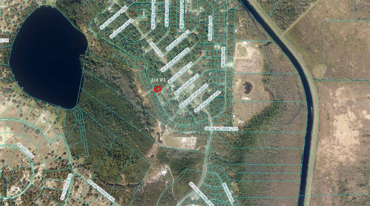 Ocklawaha, FL 32179,00 SEQUOIA DR
