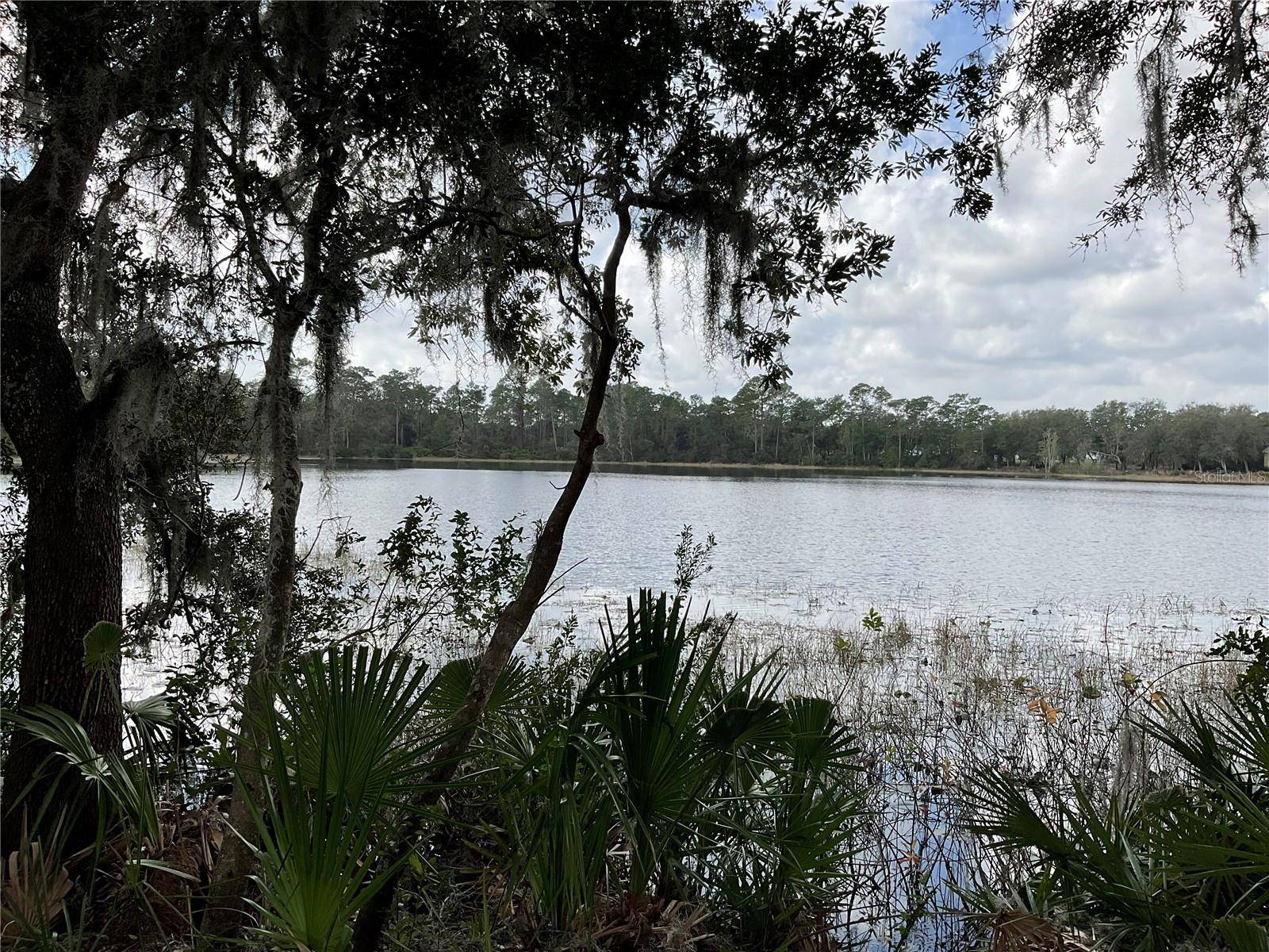 Ocklawaha, FL 32179,TBD Lot 51 MALAUKA RADL