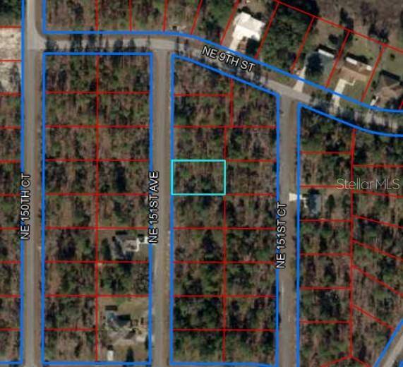 Williston, FL 32696,NE 151ST AVE