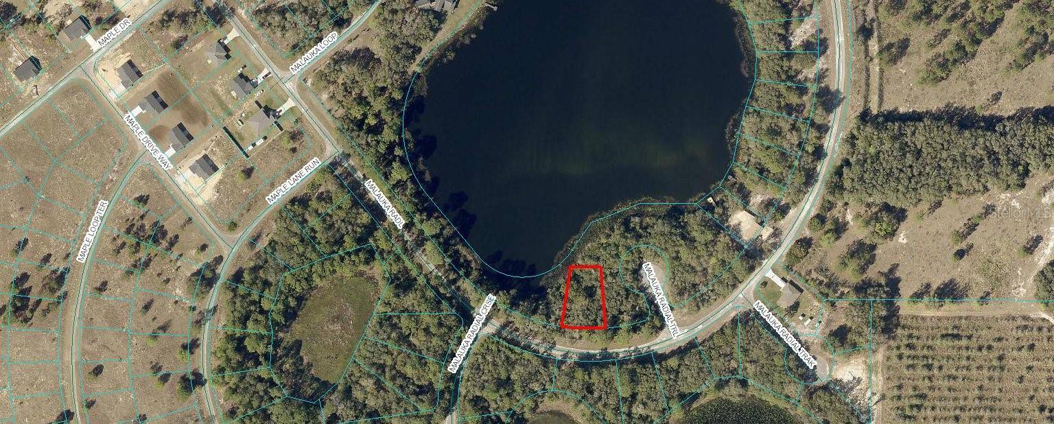 Ocklawaha, FL 32179,TBD Lot 60 MALAUKA RADL