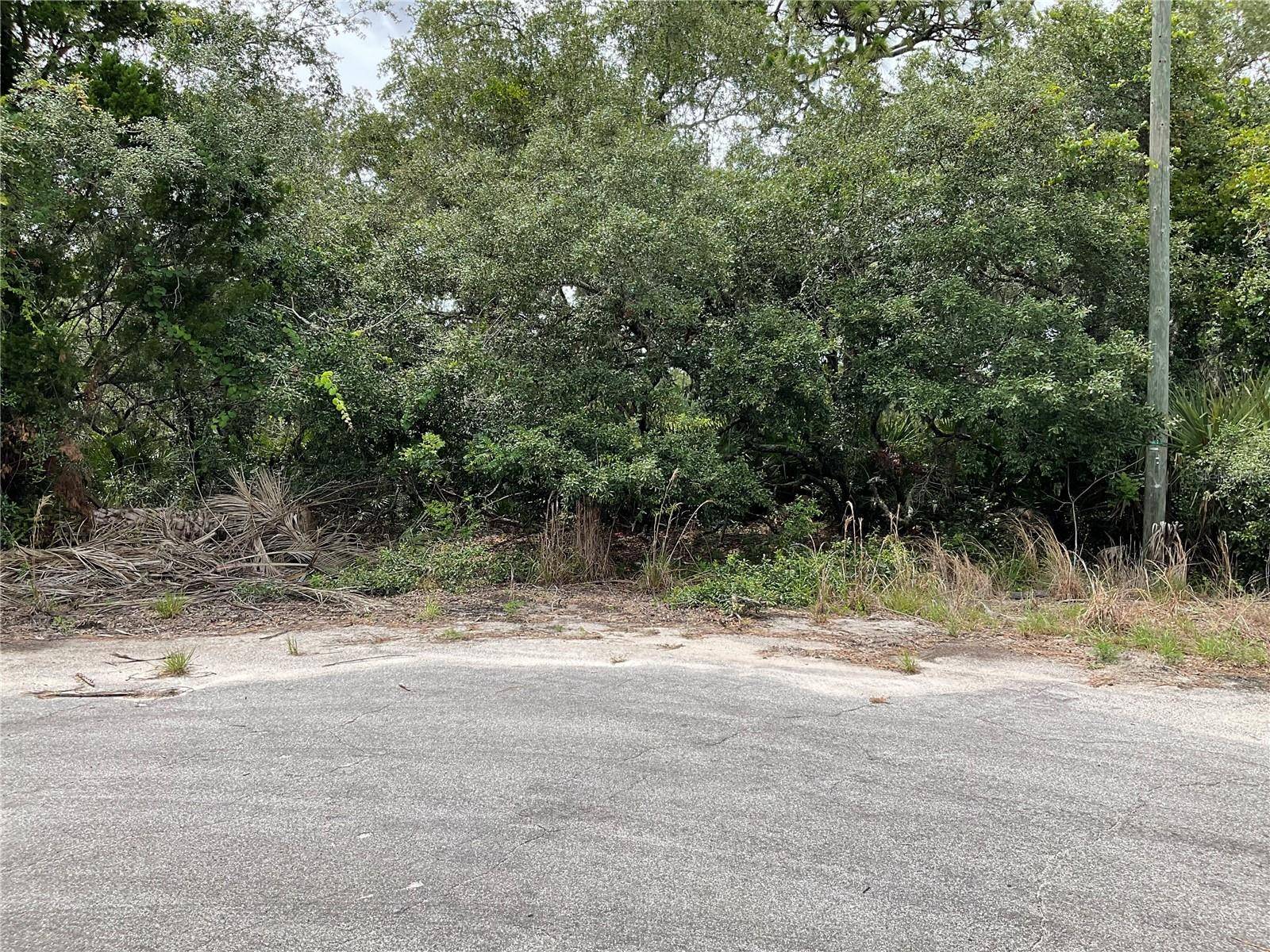 Ocklawaha, FL 32179,TBD Lot 58 MALAUKA RADIAL TRL