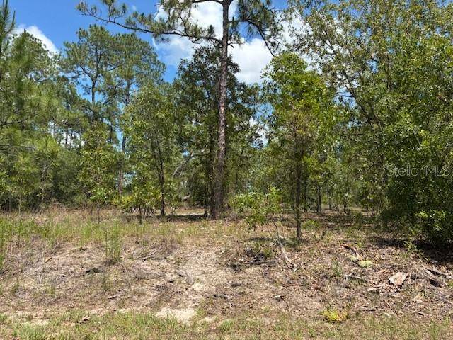 Dunnellon, FL 34431,TBD SW SOUTHVIEW CT