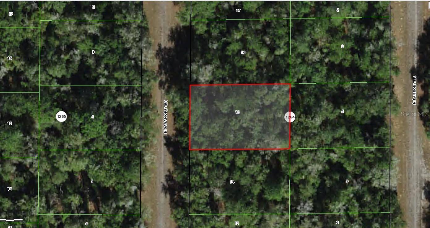 Dunnellon, FL 34434,9381 N SAGAMORE TER