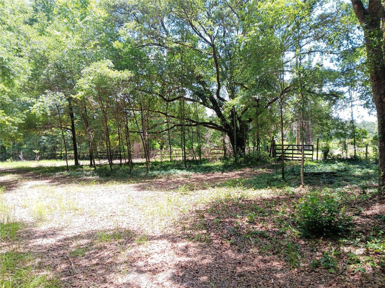 Archer, FL 32618,15422 SW 50TH AVE