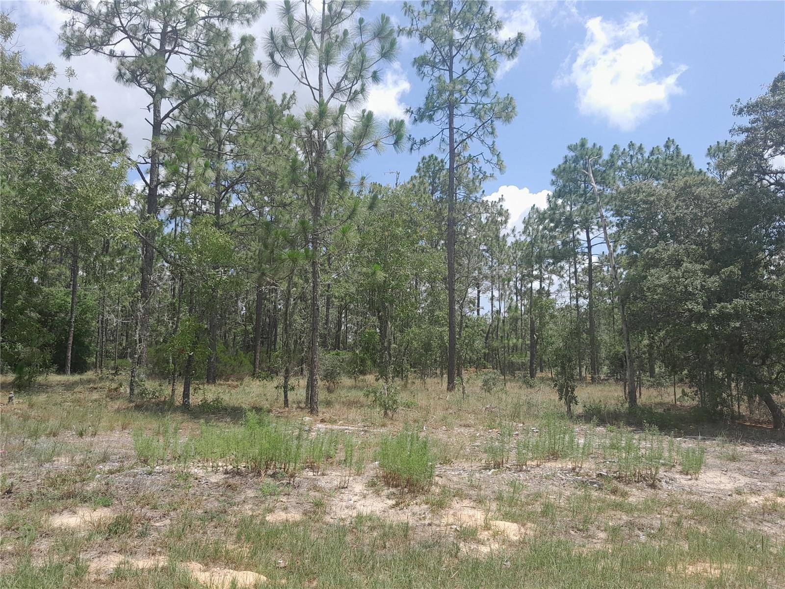 Williston, FL 32696,tbd NE 7TH PLACE