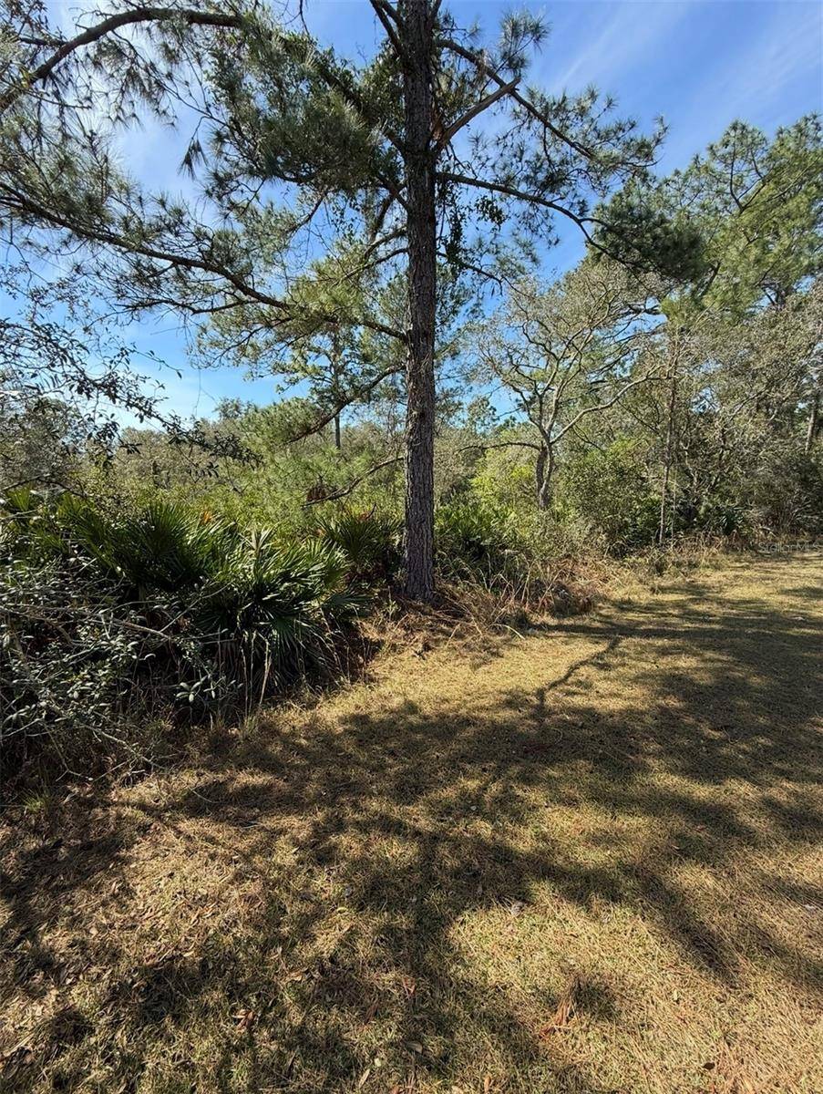 Eustis, FL 32736,ASPEN ST