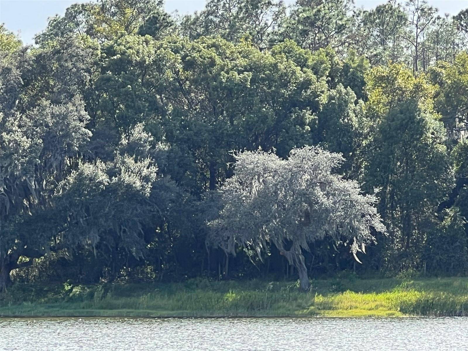 Ocklawaha, FL 32179,TBD SE 74TH LANE RD