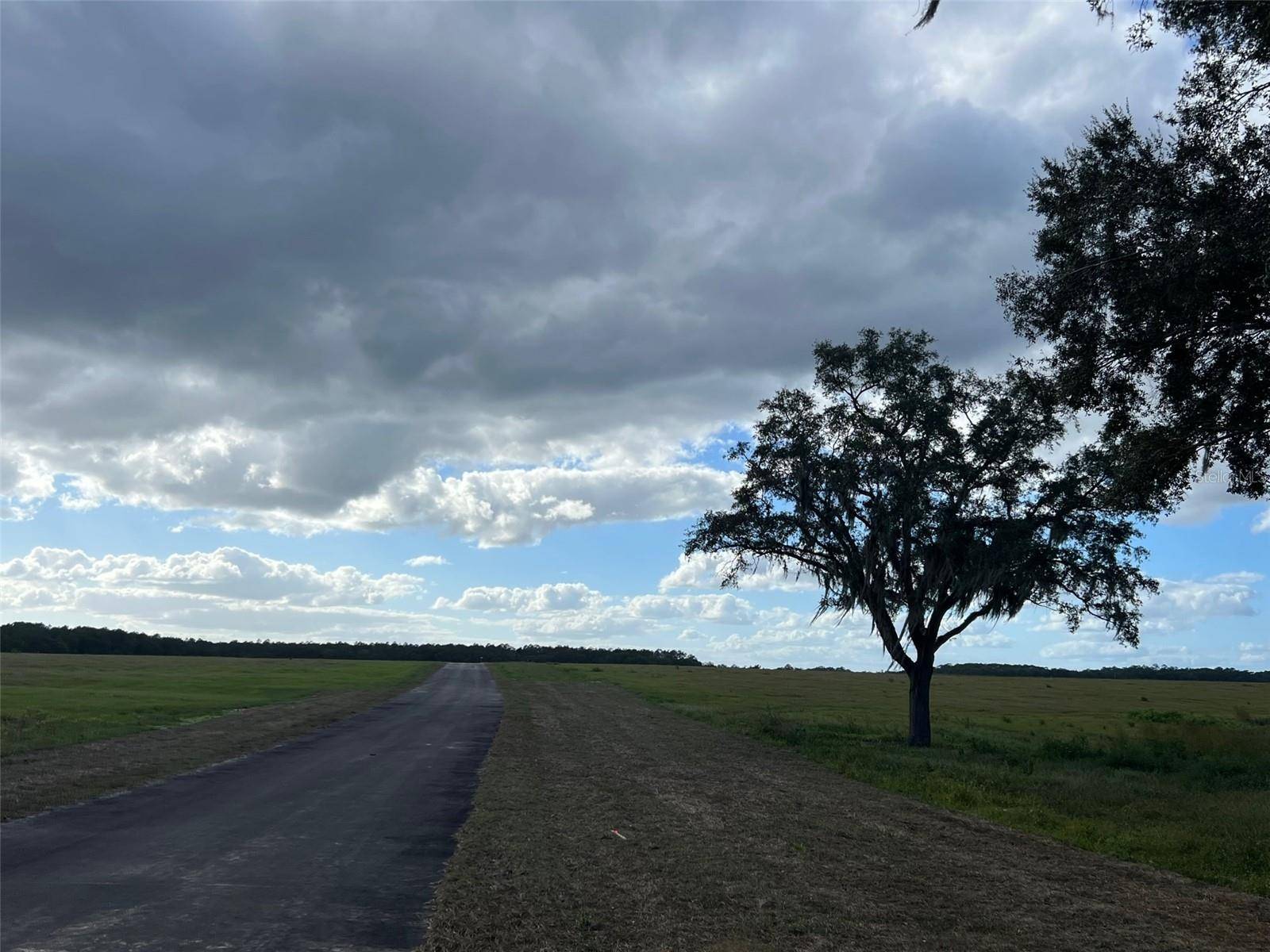 Ocklawaha, FL 32179,TBD SE 74TH LANE RD