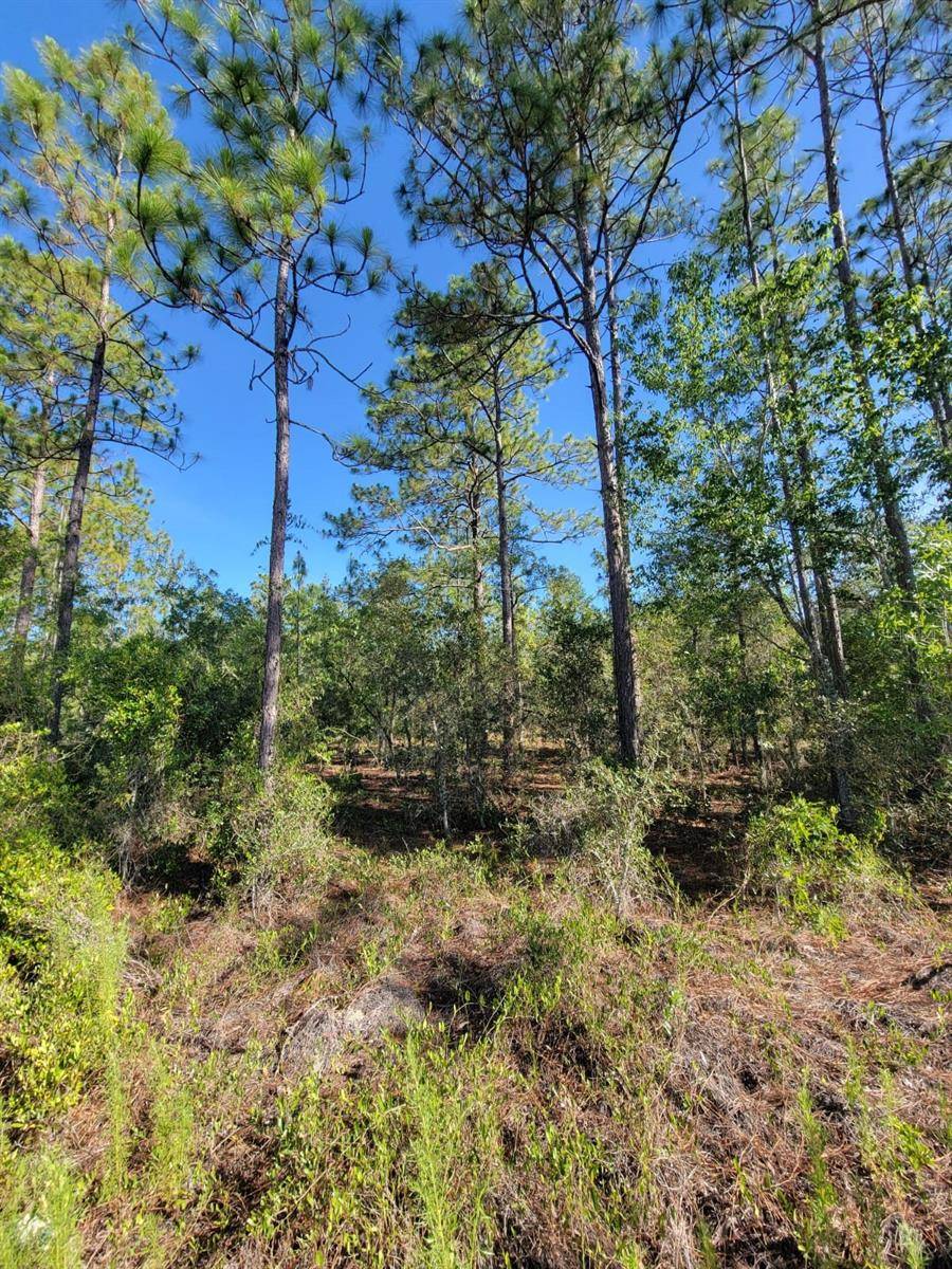 Dunnellon, FL 34431,SW EDGEWATER