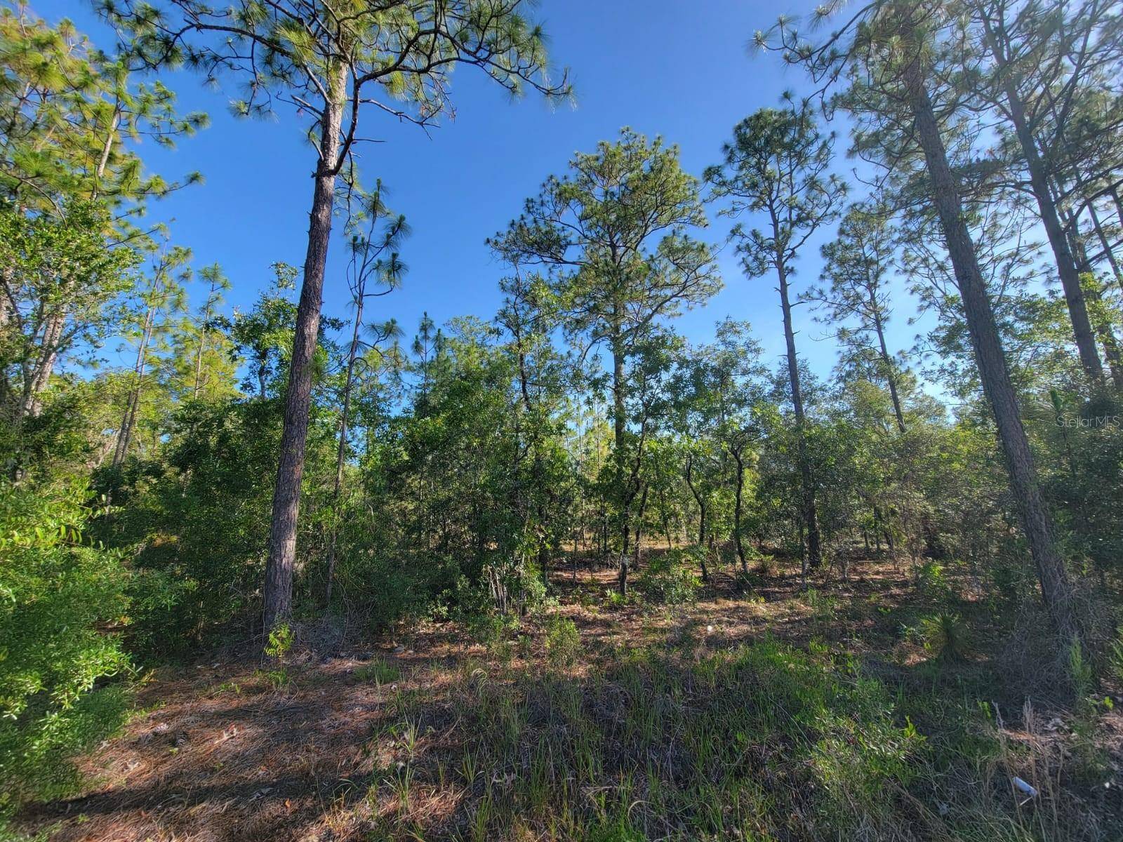 Dunnellon, FL 34431,SW EDGEWATER