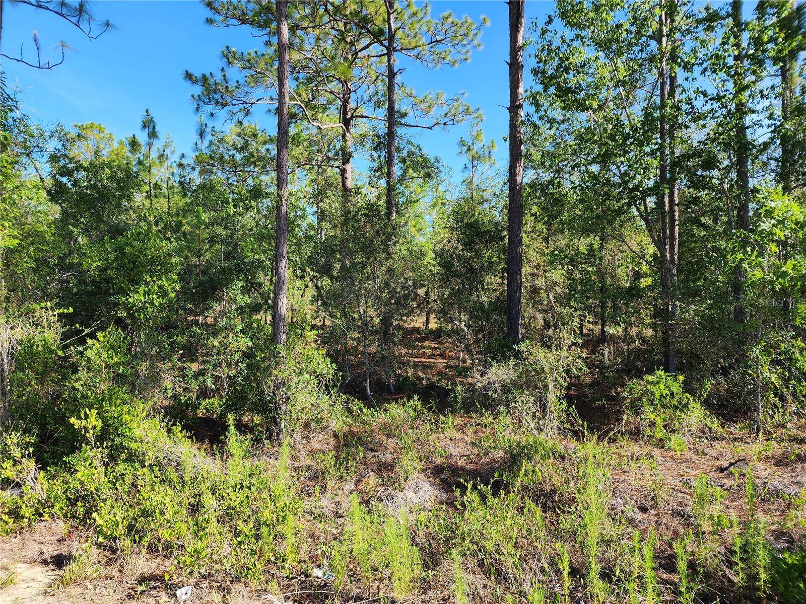 Dunnellon, FL 34431,SW EDGEWATER