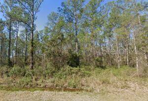 Hastings, FL 32145,10705 DELGADO AVE