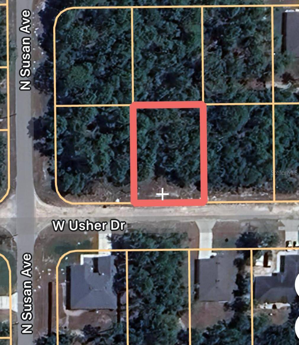 Citrus Springs, FL 34433,3381 W USHER DR