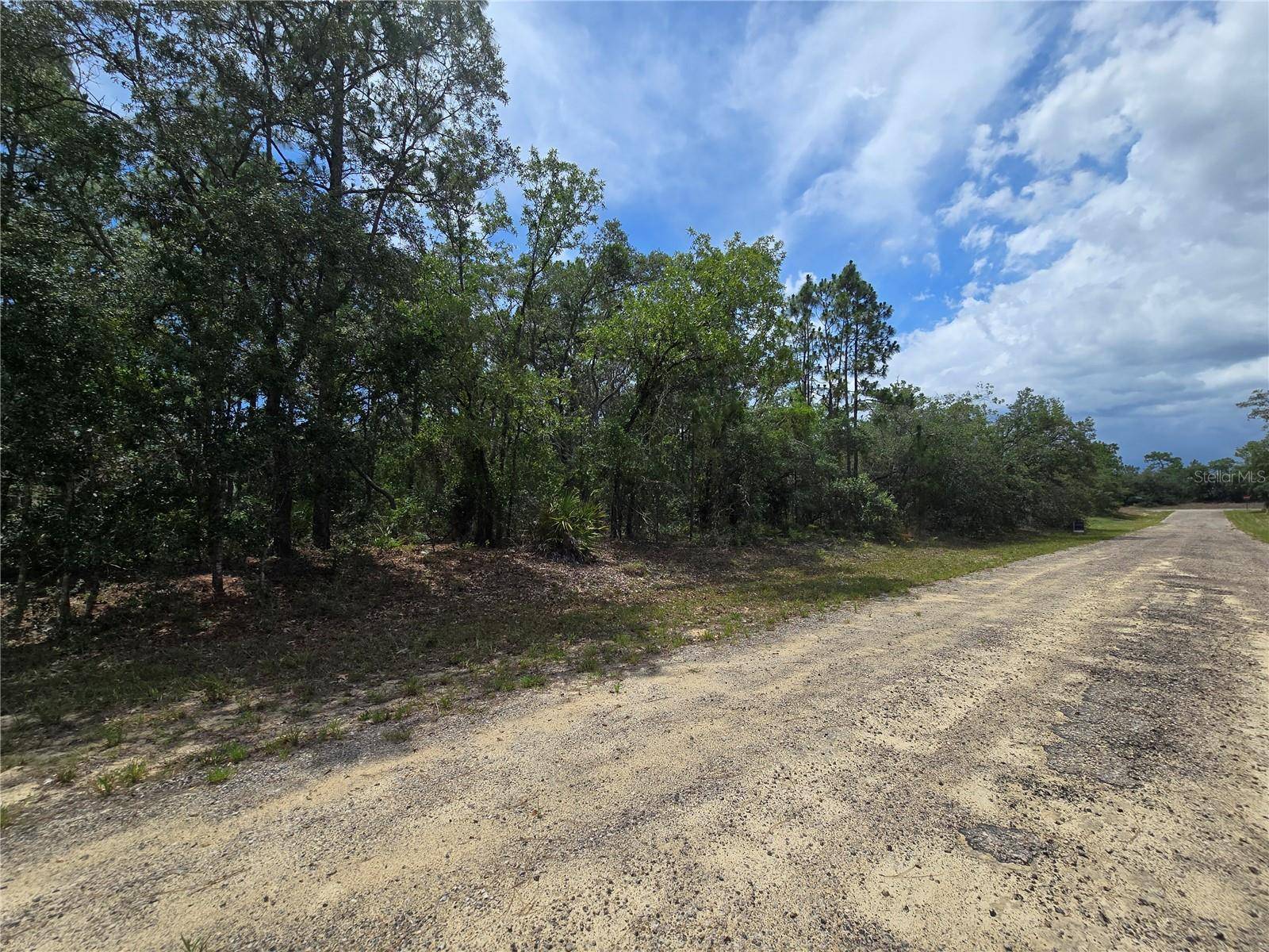 Dunnellon, FL 34433,6468 N BAYLOR TER