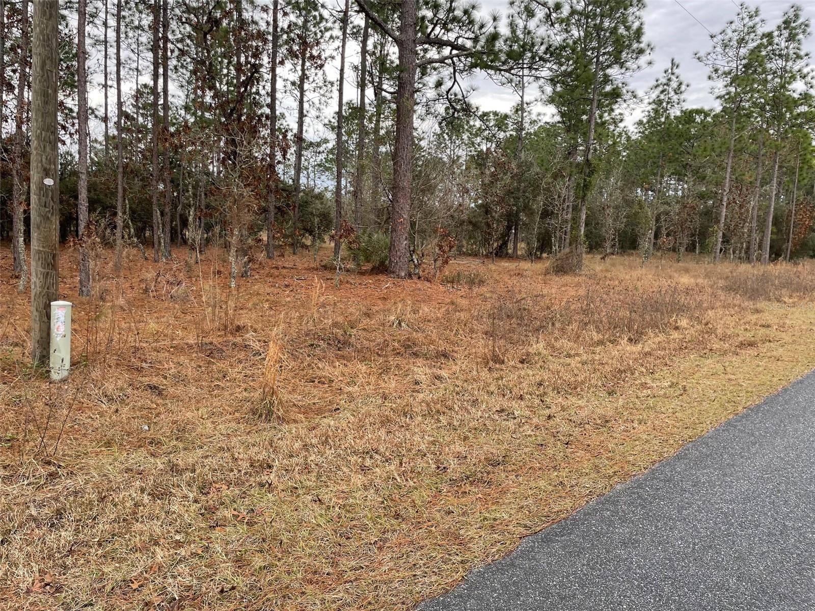 Dunnellon, FL 34431,LOT 14 SE 136 TER