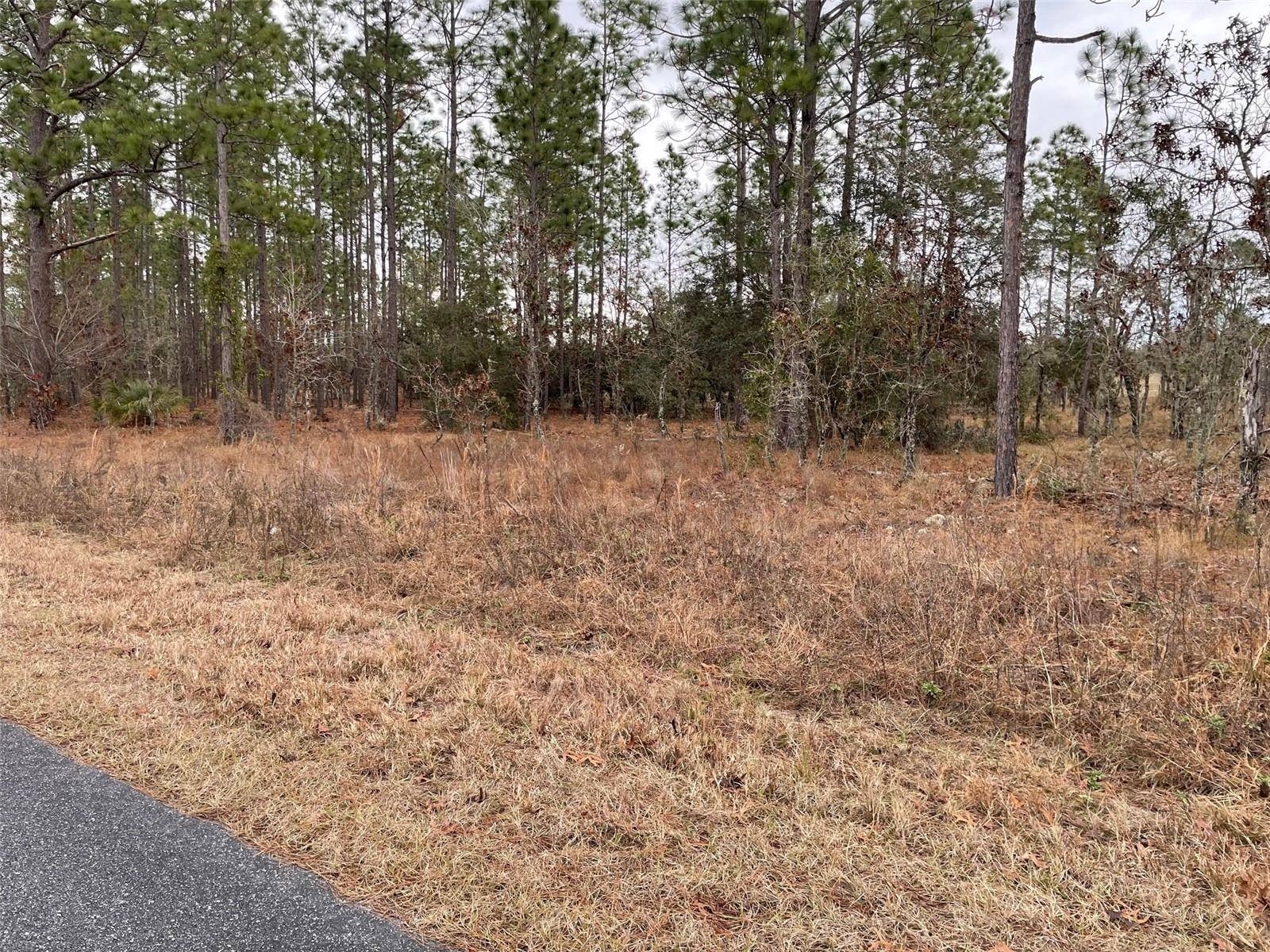 Dunnellon, FL 34431,LOT 14 SE 136 TER