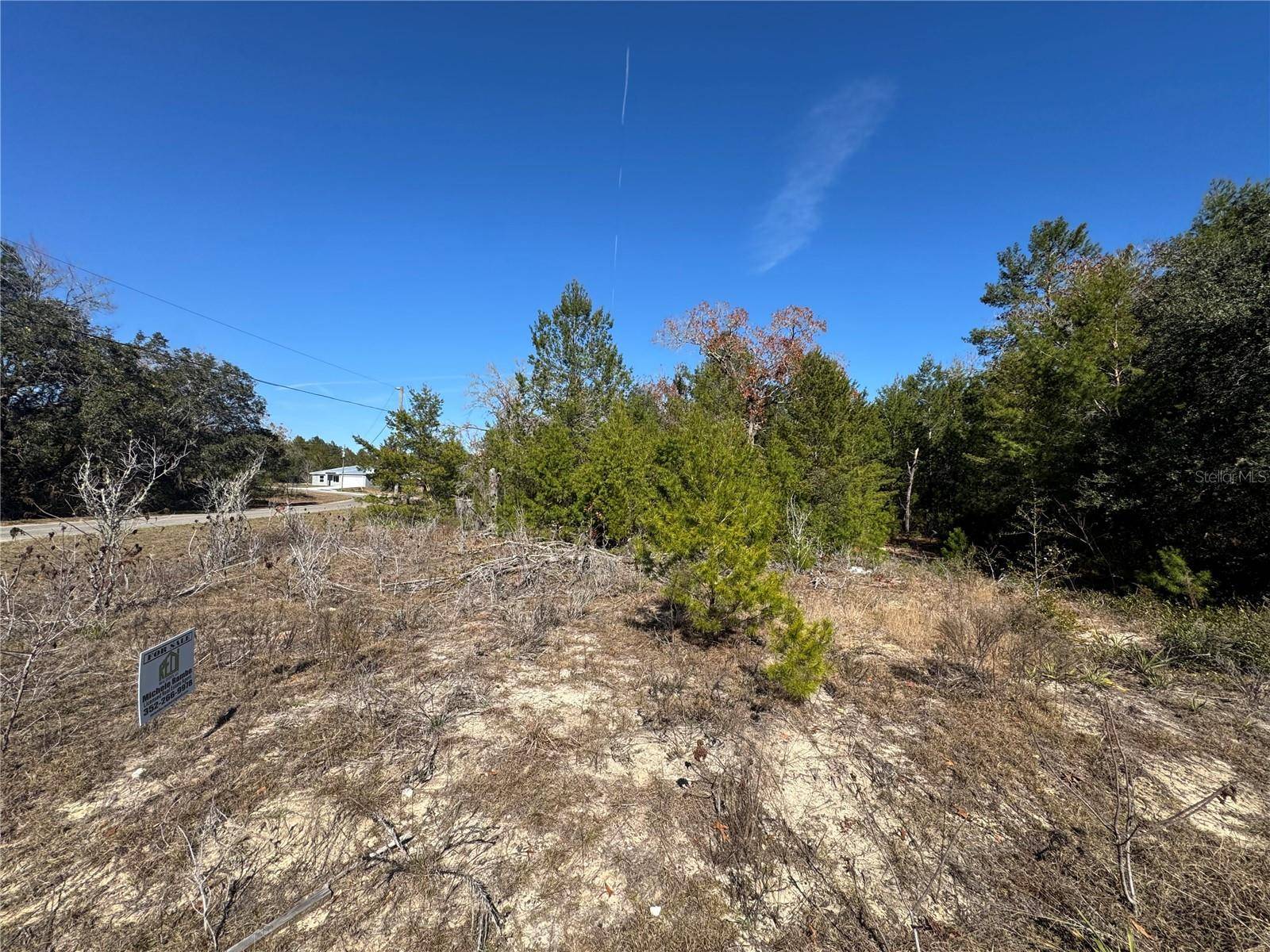 Ocklawaha, FL 32179,0 FISHER RUN LN