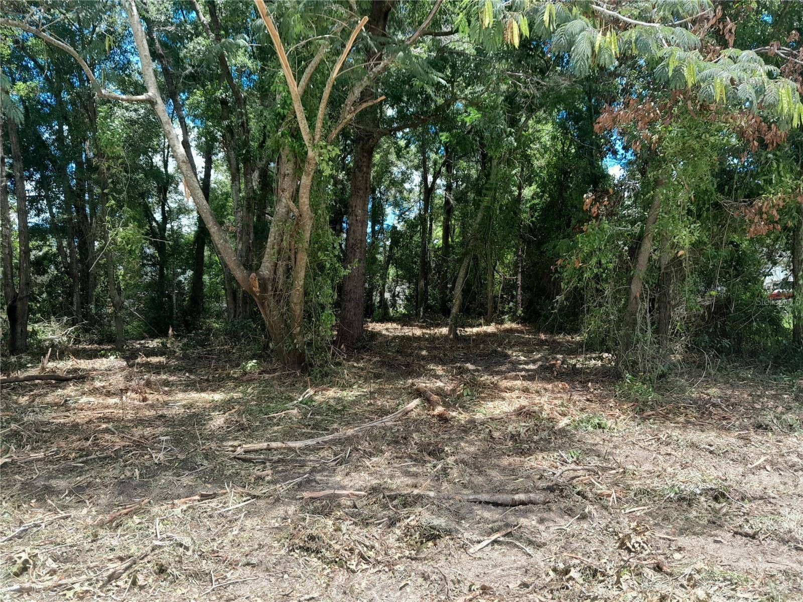 Williston, FL 32696,tbd NE 48TH ST