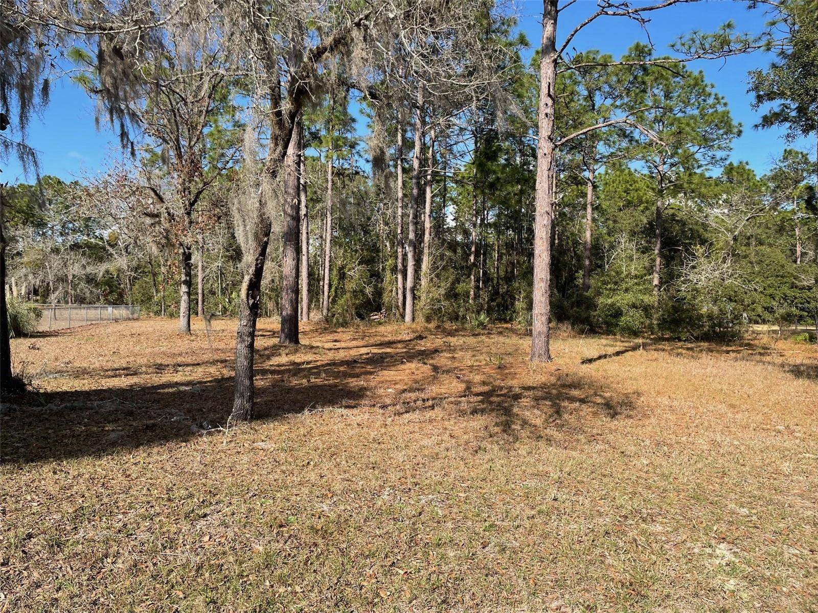 Dunnellon, FL 34431,LOT 40 SW MARINE BLVD