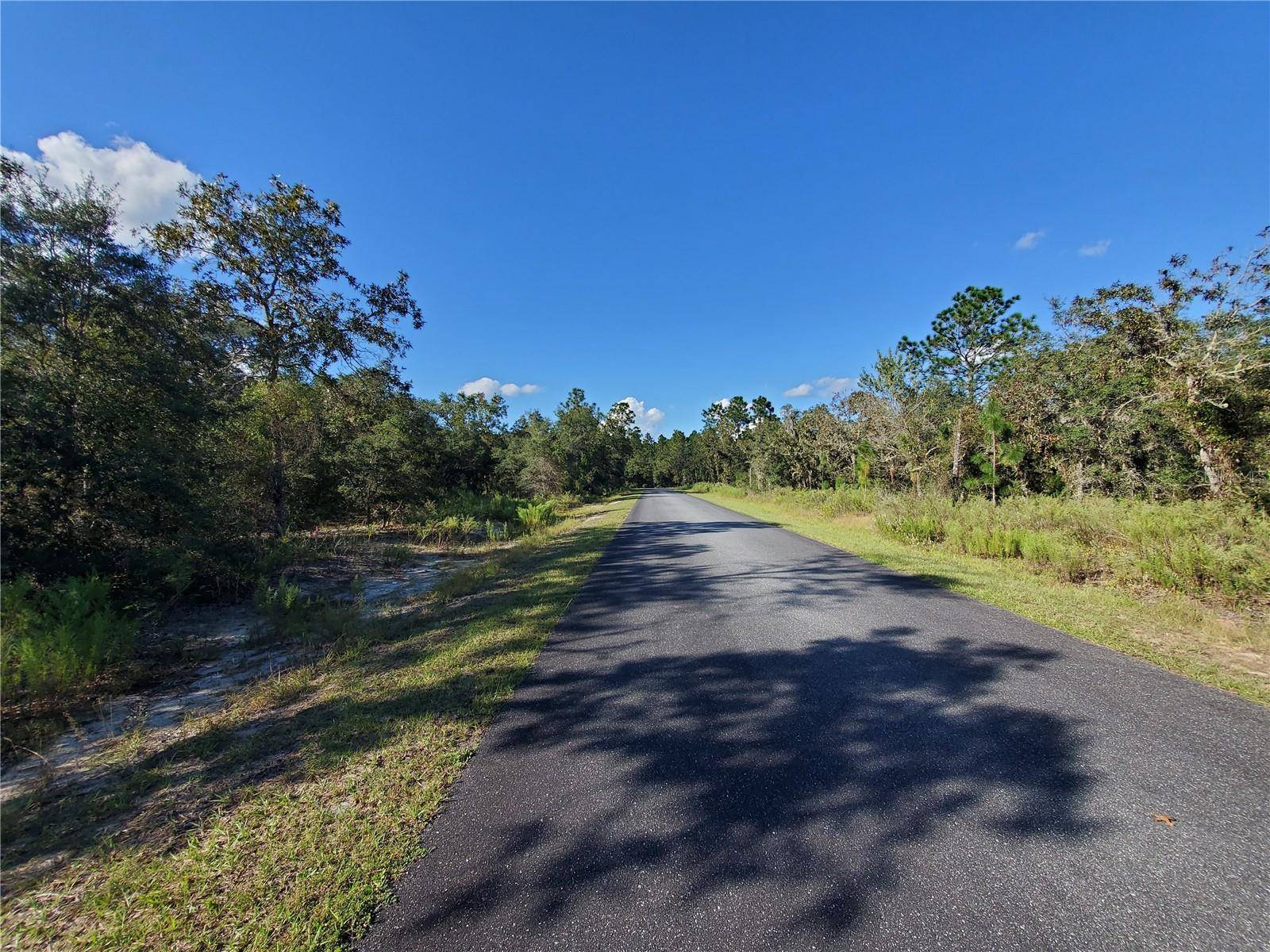 Dunnellon, FL 34432,Lot 4 SW PARADISE HEIGHTS RD