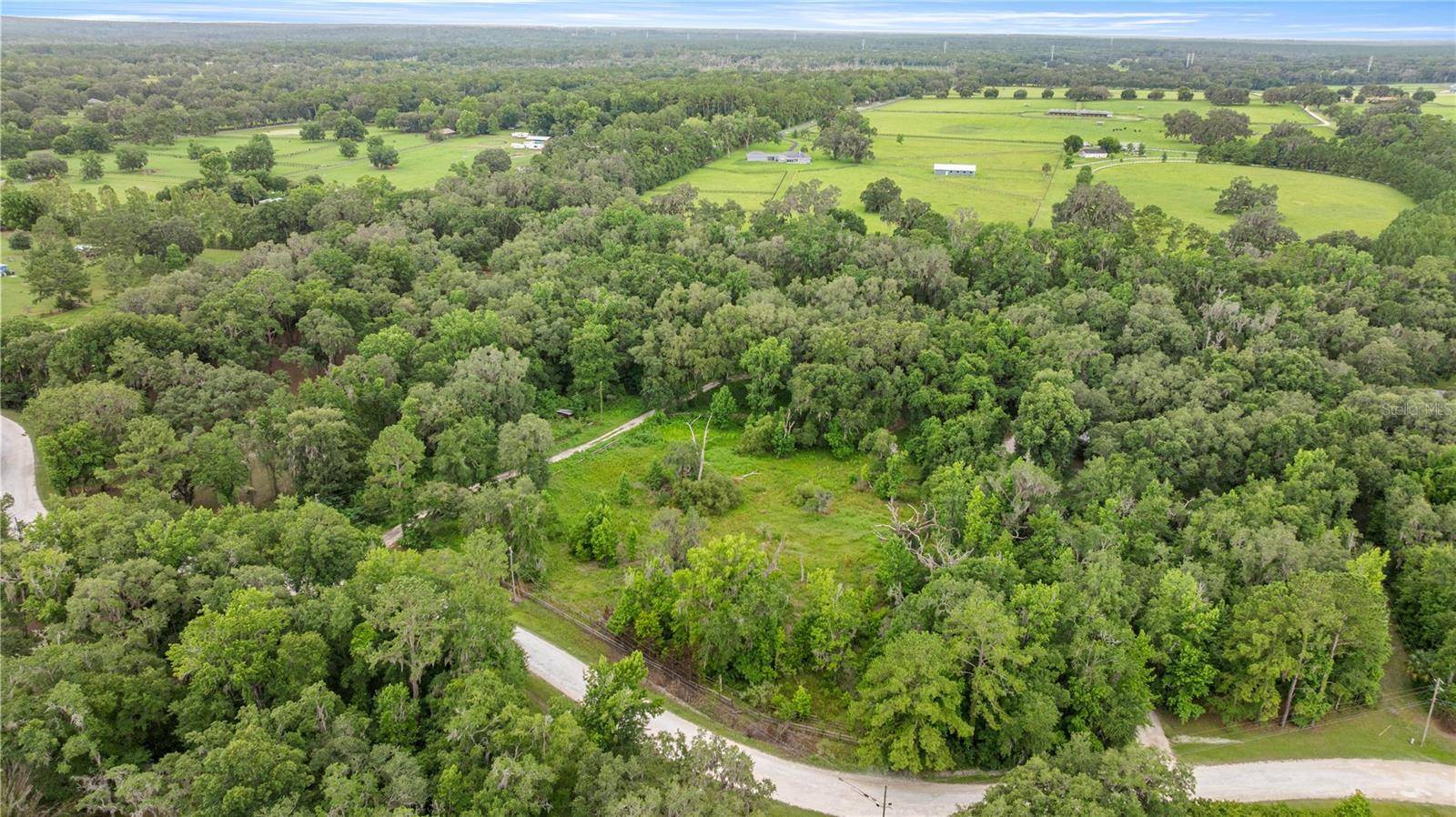 Reddick, FL 32686,12290 NW 168TH PL