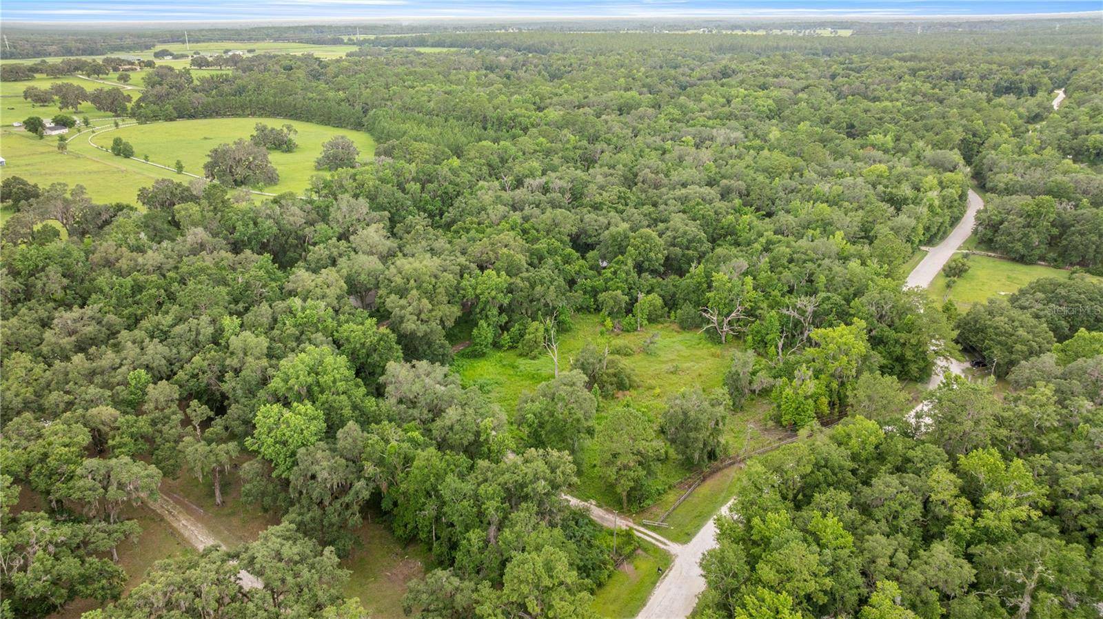 Reddick, FL 32686,12290 NW 168TH PL